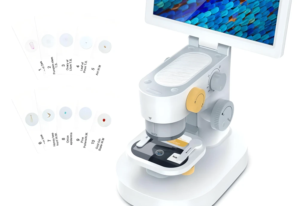 best digital microscope for kids